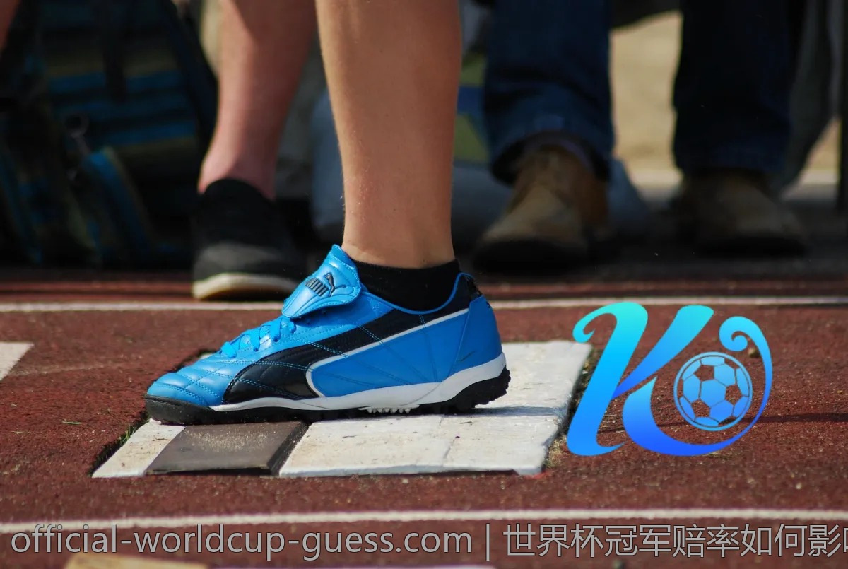 世界杯冠军赔率如何影响球迷投注？