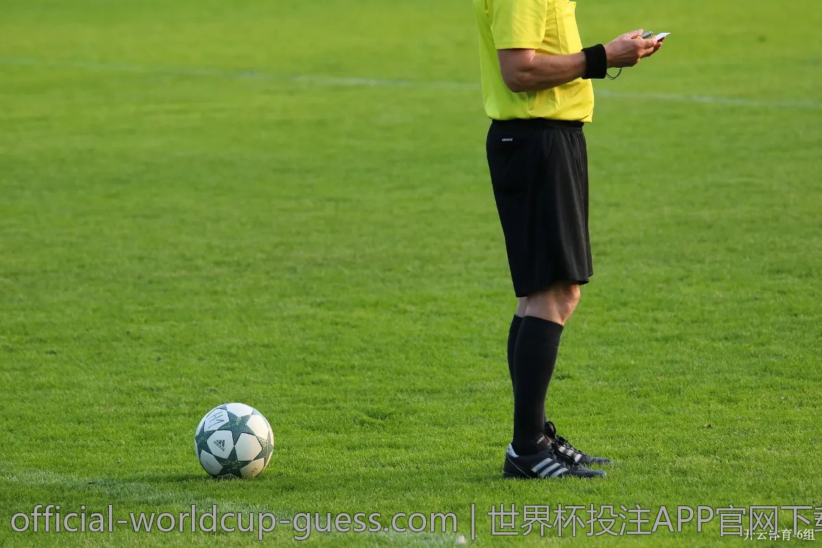 世界杯投注APP官网下载的优缺点分析
