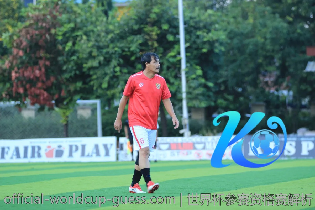 世界杯参赛资格赛解析：哪些球队已经锁定名额？